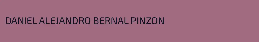 DANIEL ALEJANDRO BERNAL PINZON